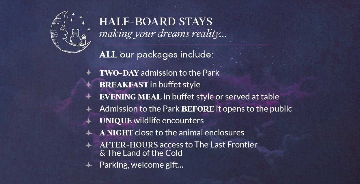 Your immersion stay with half board