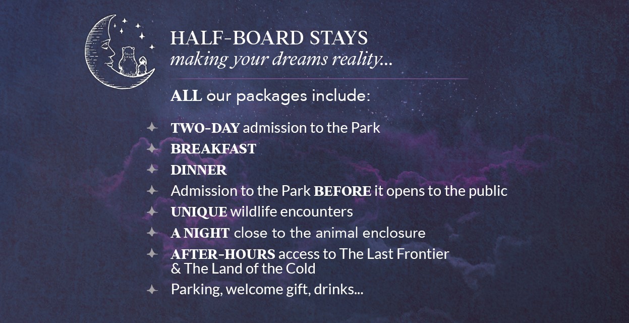 Your immersion stay with half board